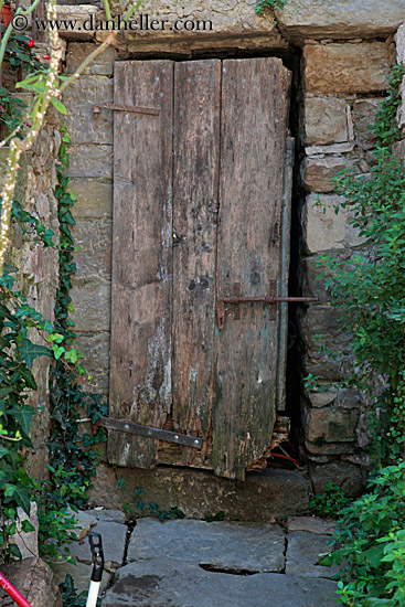 rotten-wood-door-n-ivy.jpg