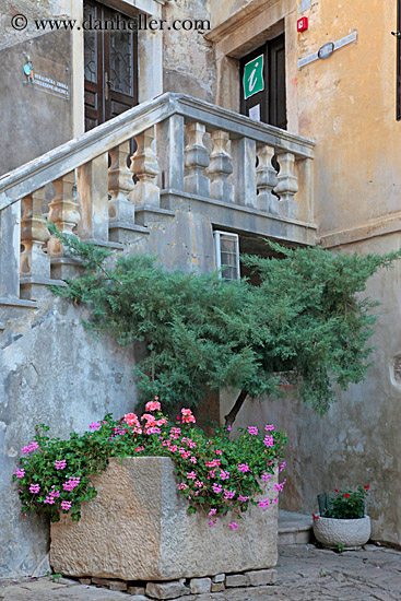 stairs-n-flowers-1.jpg