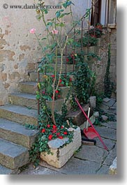 croatia, europe, flowers, groznjan, stairs, vertical, photograph
