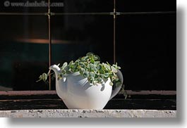 croatia, europe, groznjan, horizontal, plants, teapots, photograph