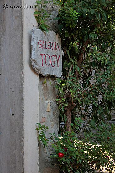 togy-sign-n-ivy.jpg