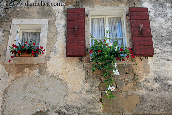 windows-n-flowers.jpg