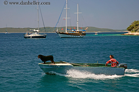 man-n-dog-speedboat.jpg
