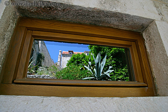 window-garden-reflection.jpg