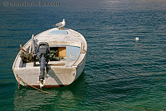 boat-in-water-6.jpg