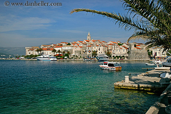 korcula-palm_tree-cityview-1.jpg