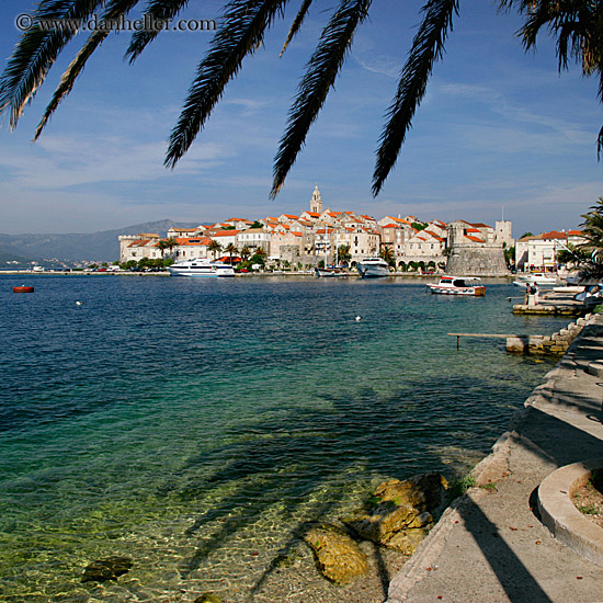 korcula-palm_tree-cityview-3.jpg