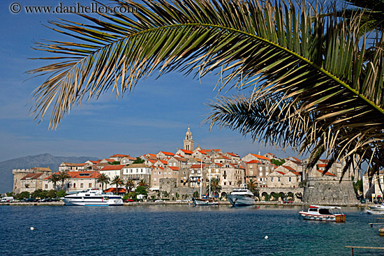 korcula-palm_tree-cityview-4.jpg