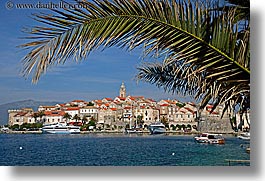 cityscapes, croatia, europe, horizontal, korcula, palm trees, palmtree, water, photograph