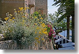 croatia, europe, flowers, horizontal, korcula, photograph