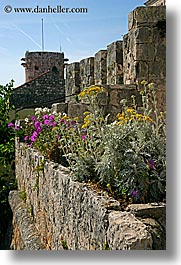 croatia, europe, flowers, korcula, vertical, photograph