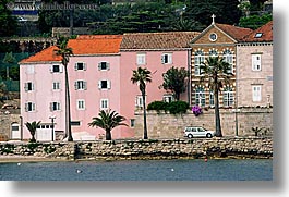 cars, croatia, europe, homes, horizontal, korcula, palmtree, seaside, photograph