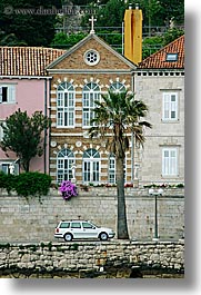 cars, croatia, europe, homes, korcula, palmtree, seaside, vertical, photograph