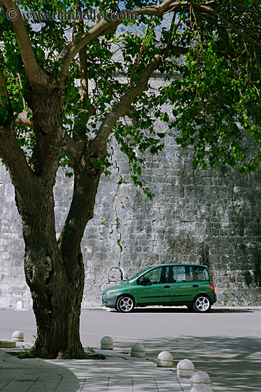 green-car-under-tree.jpg