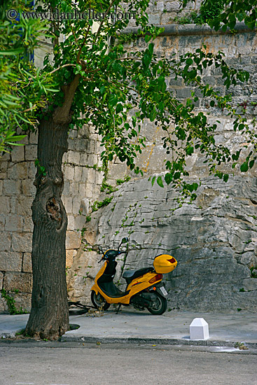 yellow-motorcycle-n-tree.jpg
