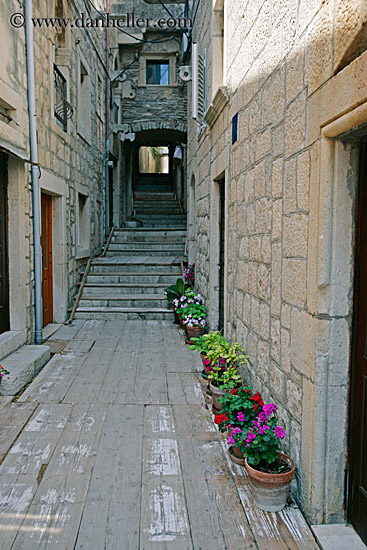 flowers-along-wall.jpg