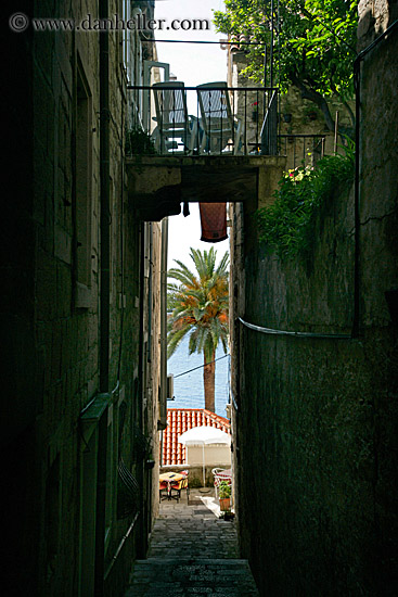 narrow-view-of-palm_tree.jpg