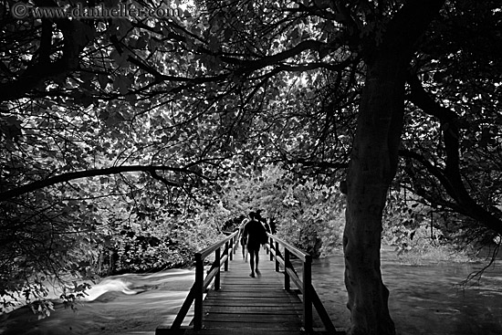 boardwalk-forest-hikers-3.jpg
