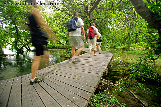 boardwalk-forest-hikers-4.jpg