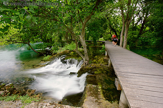 boardwalk-in-forest-01.jpg