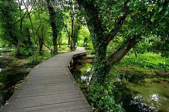 boardwalk-in-forest-04.jpg