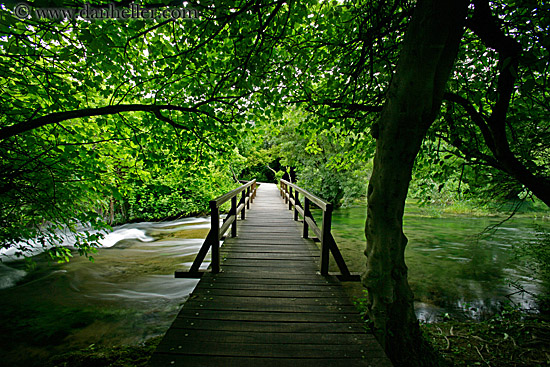 boardwalk-in-forest-06.jpg