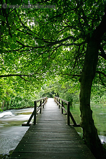 boardwalk-in-forest-07.jpg