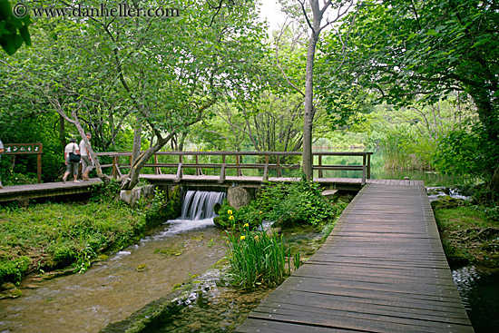 boardwalk-in-forest-11.jpg