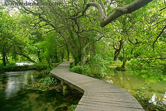 boardwalk-in-forest-12.jpg