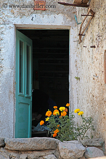 door-n-flowers-5.jpg