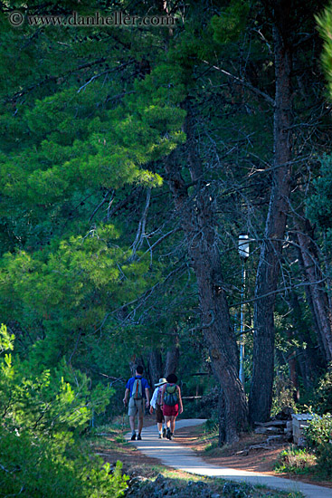 hiking-by-trees-01.jpg