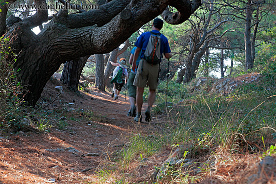 hiking-in-woods.jpg