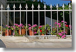 croatia, europe, fences, flowers, horizontal, irons, milna, white, photograph