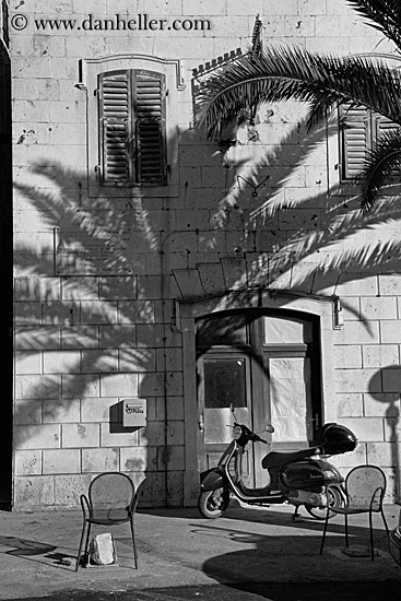 palm_tree-shadow-n-wall-bw-1.jpg