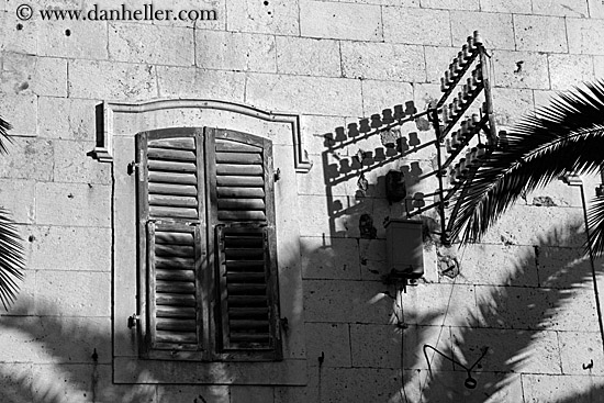 palm_tree-shadow-n-wall-bw-2.jpg