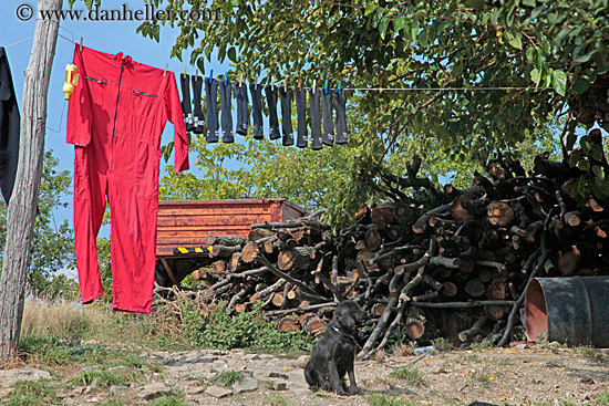 hanging-laundry-n-wood-pile-1.jpg