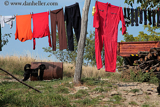 hanging-laundry-n-wood-pile-2.jpg
