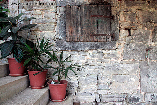 potted-plants-on-stairs.jpg