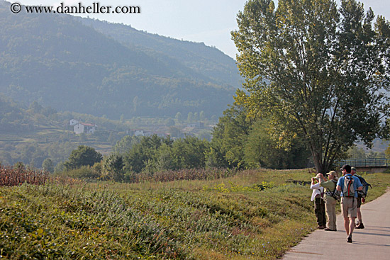 hiking-in-motovun-02.jpg