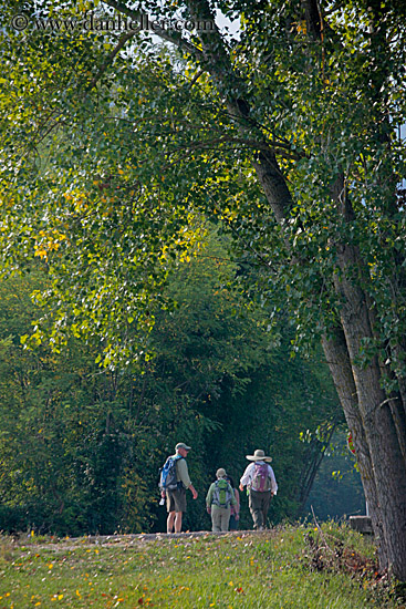 hiking-in-motovun-13.jpg