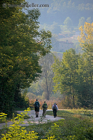 hiking-in-motovun-16.jpg