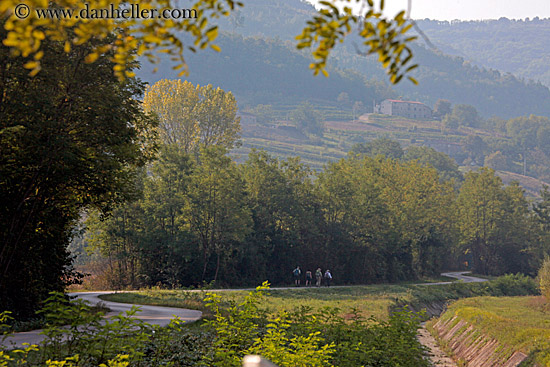 hiking-in-motovun-20.jpg
