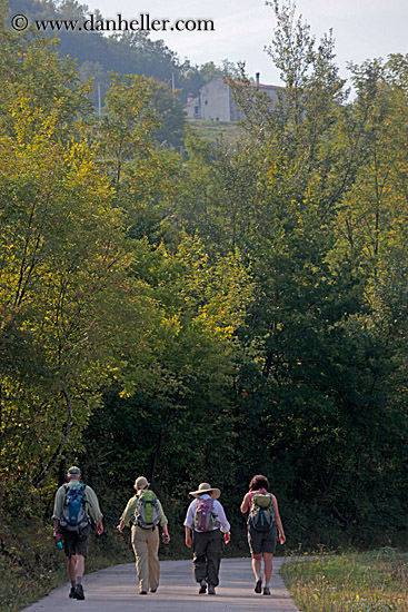 hiking-in-motovun-22.jpg