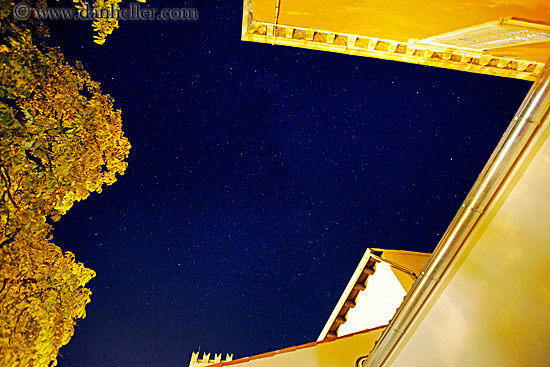 stars-n-trees-upview.jpg