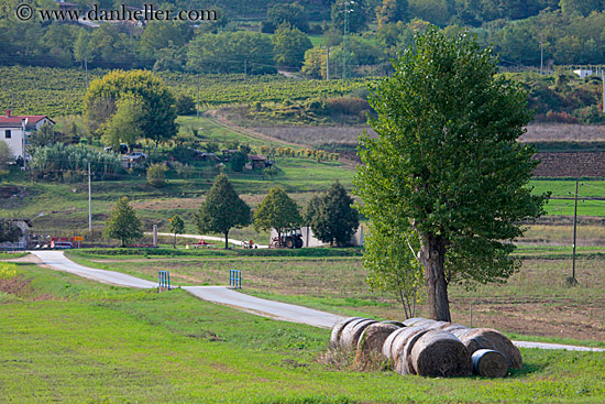 hay-bales-n-tree-1.jpg