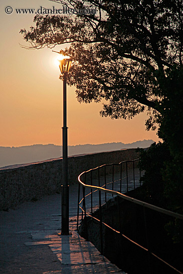 sun-behind-lamp_post-n-tree-sil.jpg