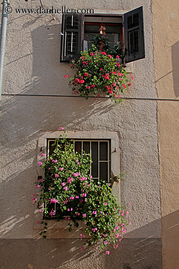 iron-gate-window-w-flower-1.jpg