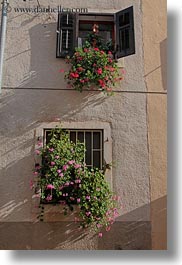 croatia, europe, flowers, gates, irons, motovun, towns, vertical, windows, photograph