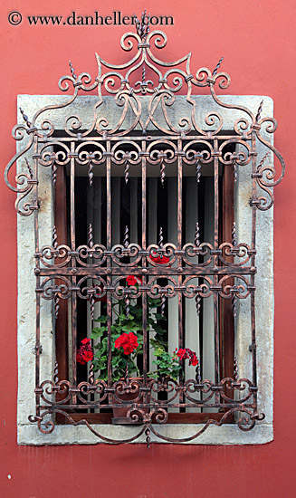 iron-gate-window-w-flower-2.jpg