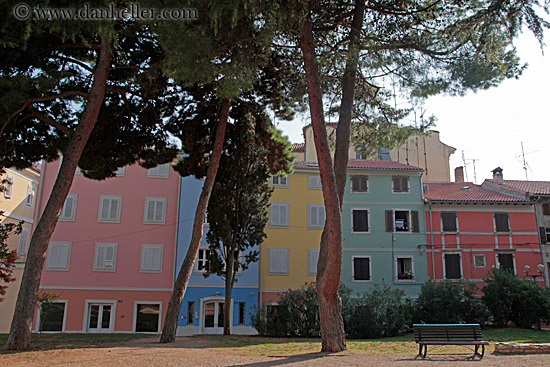 colorful-buildings-n-trees-2.jpg